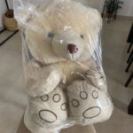 Teddy Bear 5