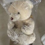 Teddy Bear 5