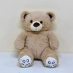 Teddy Bear 5