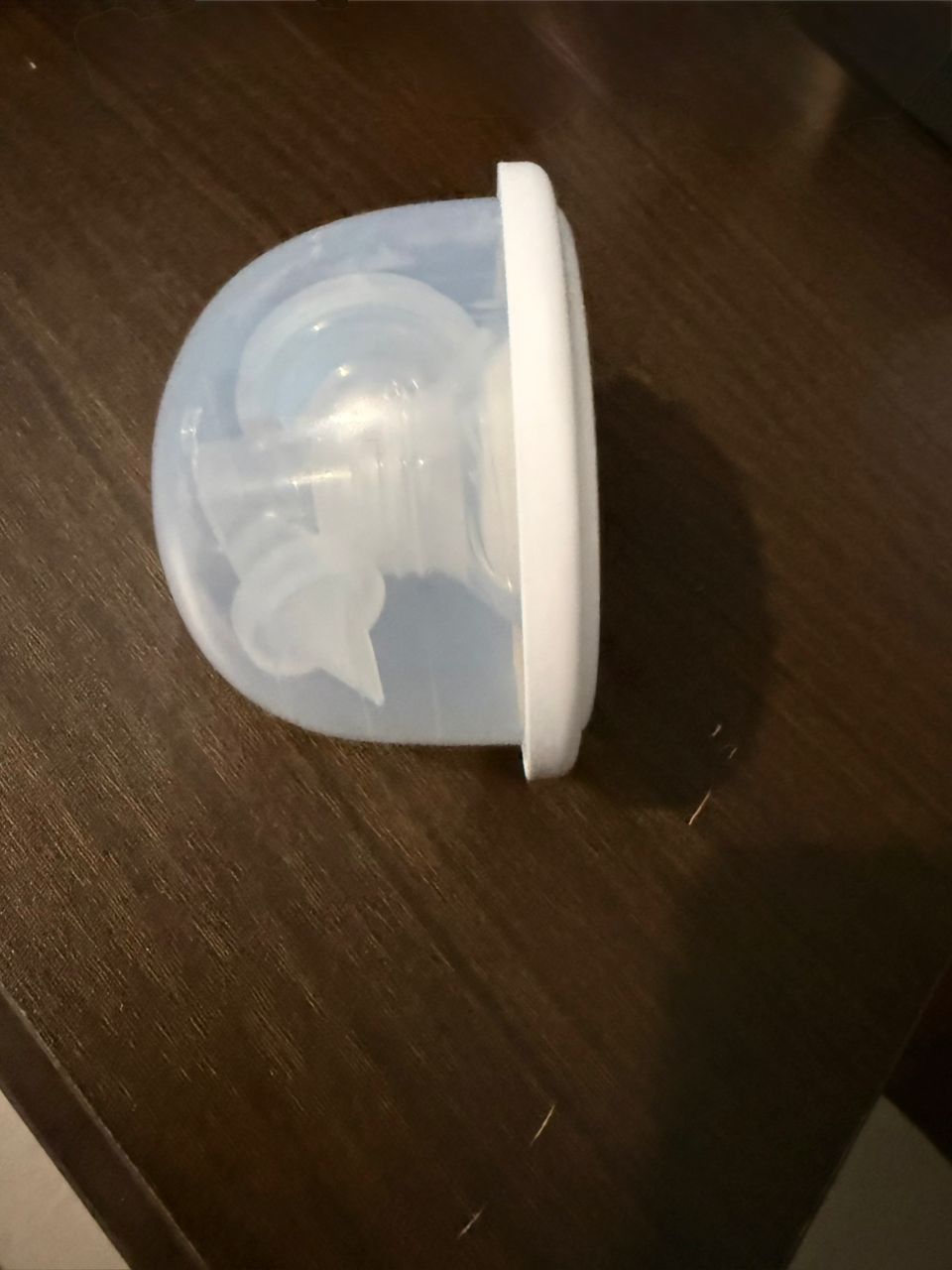 WhatsApp Image 2025-11-05 at 9.51.03 PM