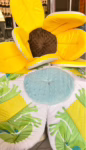 cropped-IMG_0570.avif