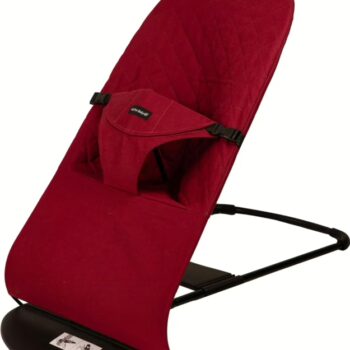Baby Bouncer: Gently-Used